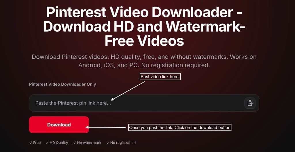 Pinterest video indirici ana sayfasında Pinterest pin bağlantısının giriş kutusuna yapıştırılması ve kırmızı Download (İndir) butonuna tıklanması